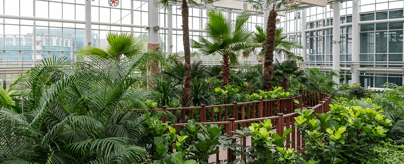 식물원 내부에 식재된 다양한 식물의 모습이 보인다.