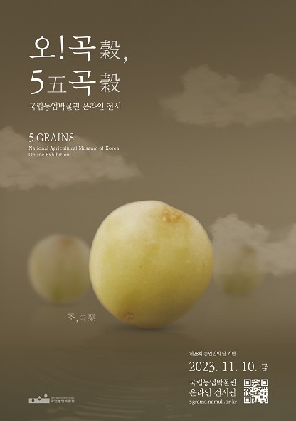  제28회 농업인의 날 기념 2023 국립농업박물관 온라인 전시 <오! 곡穀, 5五곡穀> ㅇ전시개막: 2023. 11. 10.(금) 오후 ㅇ관람시간: 상시 ㅇ전시장소: 국립농업박물관 온라인 전시관(5grains.namuk.or.kr) ㅇ관람요금: 무료 ㅇ관련문의: 국립농업박물관 전시소통팀(031-324-0773, 0787) ㅇ전시 개괄 국립농업박물관은 제28회 농업인의 날을 맞이하여 농업 농촌 문화유산의 근간이자 우리 생애와 동행해 온 곡물을 다시 보고, 그 가치와 가능성을 이해하는 온라인 전시 <오! 곡(穀) 5곡(穀)>을 마련하였습니다. 시대에 따라 오곡의 종류와 정의는 달라지지만, 우리의 삶 속에 보탬과 이로움이 되어 온 본질은 변하지 않습니다. 오곡은 하늘이 사람을 기르기 위해 낳은 양식(五穀乃天生養人之物)이라 했습니다. 인류 문명과 농업은 떼려야 뗄 수 없고, 농업의 중심에는 종자가 있습니다. 그 가운데 가장 귀한 다섯 개의 씨앗을 꼽아 오곡이라 이름 붙이니, 알곡은 뿌리내려 문화로 움텄고, 마침내 삶으로 영글었습니다. 농(農)의 가치와 문화를 전하는 국립농업박물관 온라인 전시에서 놀랍고, 가까우며, 이로운 오곡의 여러 얼굴을 만나며 다섯 곡식이 걸어온 고귀한 발자취와 함께할 수 있기를 소망합니다. ㅇ세부 내용 이번 전시는 한민족의 삶과 동행한 다섯 곡물의 이야기를 보다 가까이에서 경청하는 기회를 꾸렸습니다. 제1부 '오! 놀라운 곡(穀)'은 오곡의 상징, 설화를 비롯해 관련 세시풍속과 신앙을 소개합니다. 제2부 '오! 가까운 곡(穀)'에서는 사람의 평생의례와 함께한 오곡을 선보입니다. 제3부 '오! 이로운 곡(穀)'에서는 구황, 의료, 가공 분야에서 활약한 오곡을 제시합니다. 관람객 참여를 통해 월페이퍼(PC, Mobile)를 배포합니다. 작고 가벼운 다섯 씨앗이 지닌 넓고 풍성한 가치를 새로 보며, 오곡의 가능성과 소중함을 경험하길 바랍니다. [QR코드 홈페이지 바로가기 https://naver.me/xn6OG6iB]