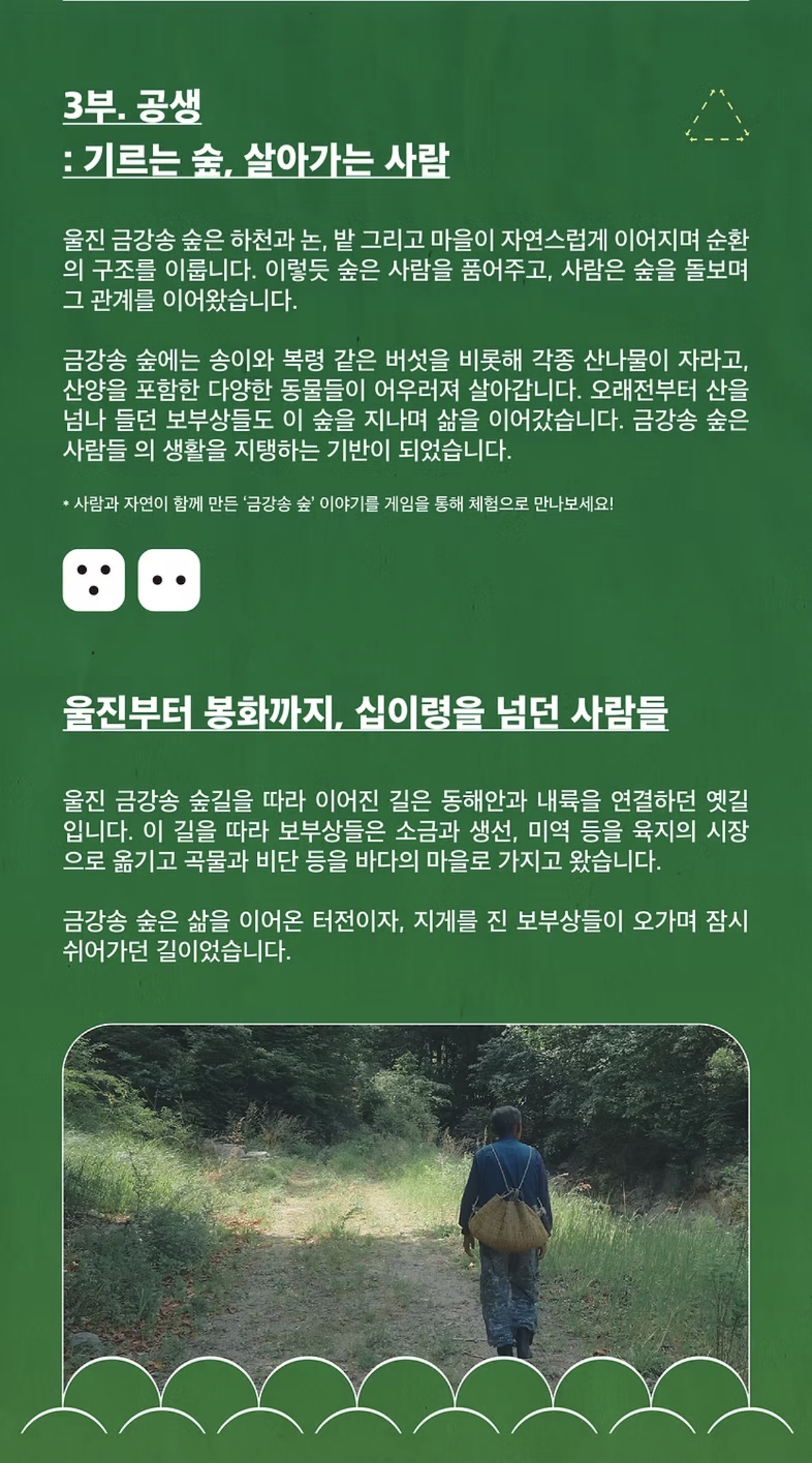 금강송 리플릿