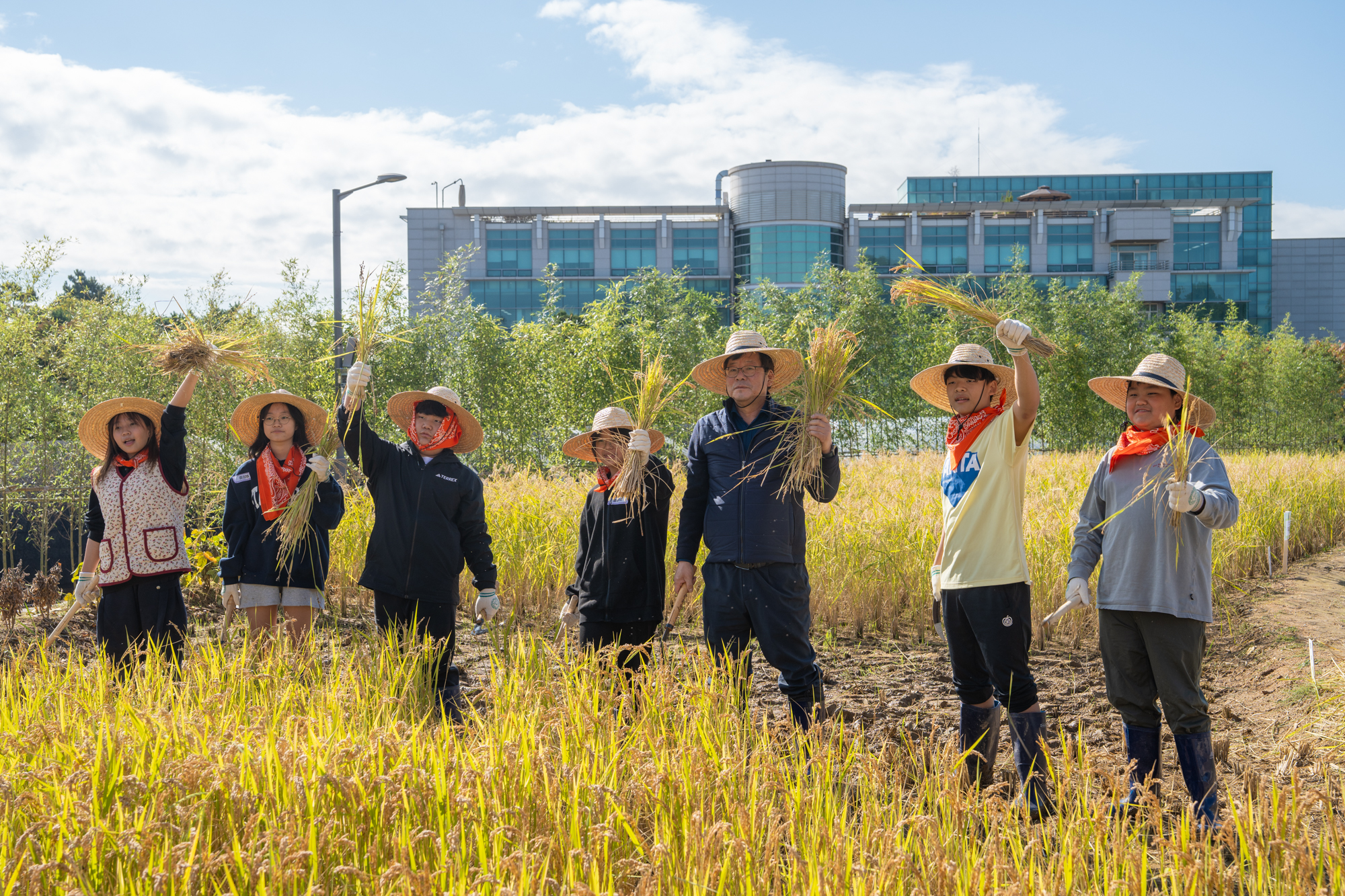 2025년 국립농업박물관 벼베기 체험 행사(25.10.22.) 첨부 이미지
