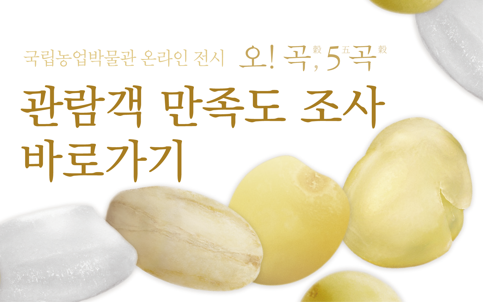 2023 국립농업박물관 온라인 전시 <오! 곡穀, 오五곡穀> 관람객 만족도 설문 조사 바로가기 안내