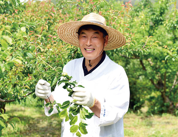 통일벼의 유물 기록으로 근현대 농촌을 되새기다 정하택 유물 기증자