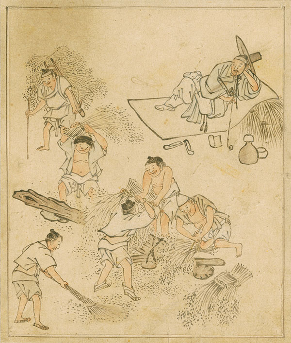 단원 김홍도, 〈타작도〉 《단원풍속도첩》, 수묵 담채, 28×24cm,
보물 제527호 ©국립중앙박물관