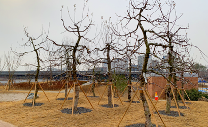과수원